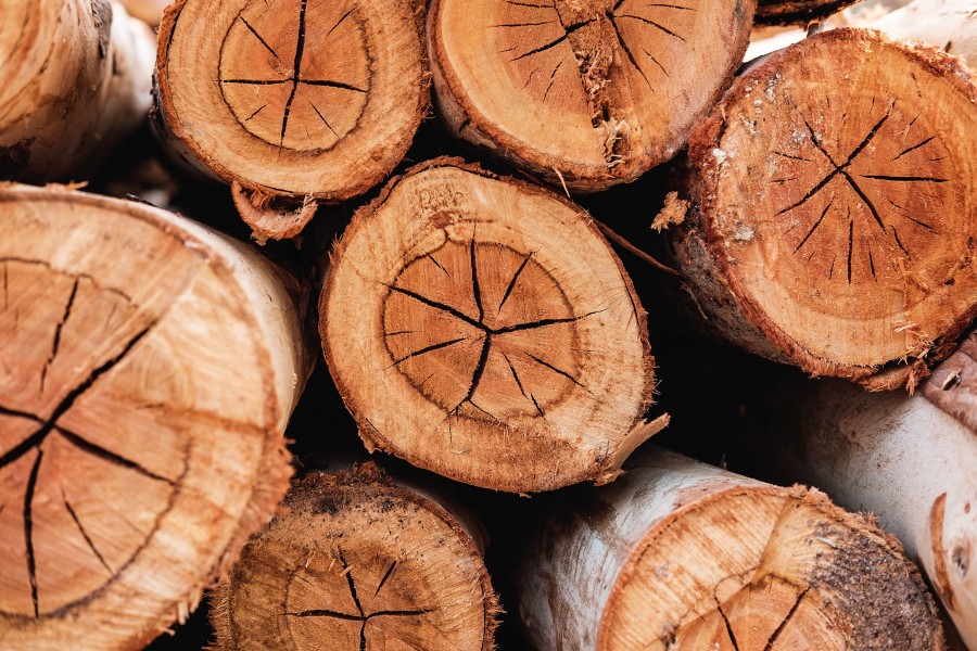 Qu'est-ce que le bois de teck ?